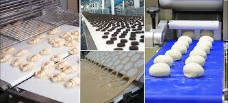 All Kind of Conveyor for Food Processing Industry Belt