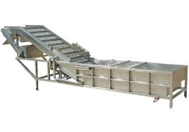 Fruit Washing Machine